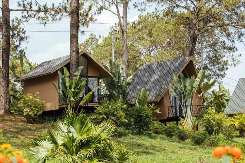 Phoenix Mộc Châu Resort.